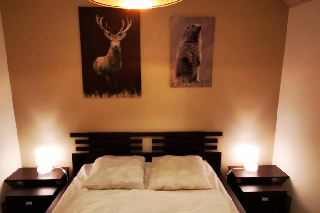 Le Picoulet : Appartement Tout Confort Coeur De Village Алос Екстериор снимка